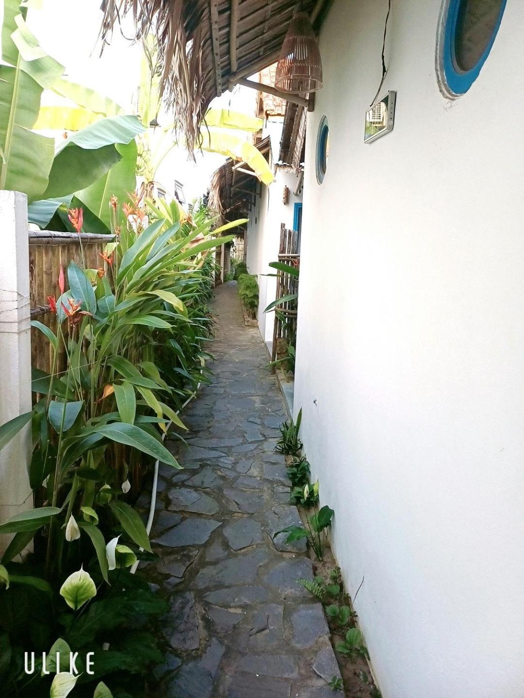 Cashew Tree Bungalow Hoi An Eksteriør bilde