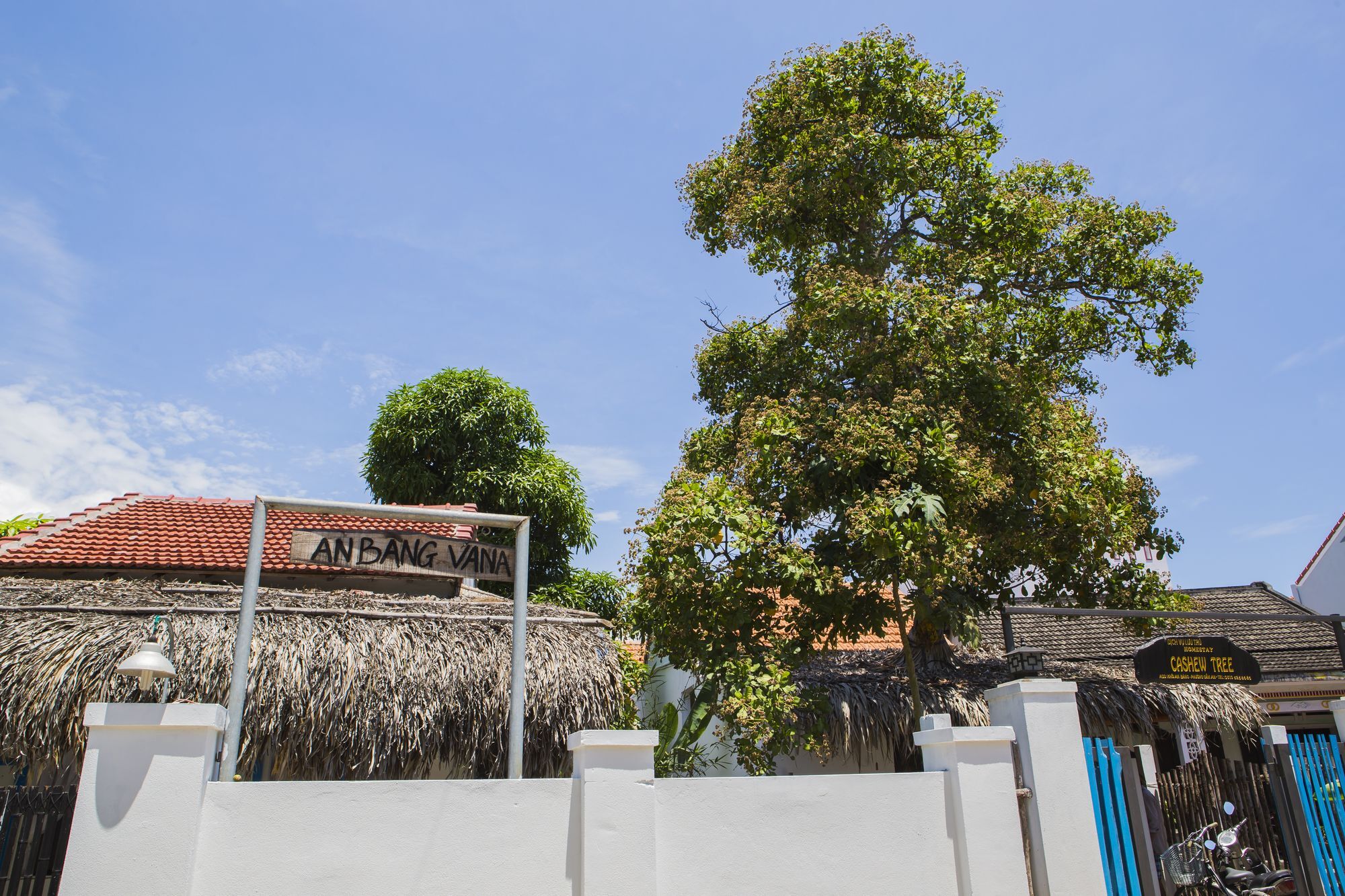 Cashew Tree Bungalow Hoi An Eksteriør bilde